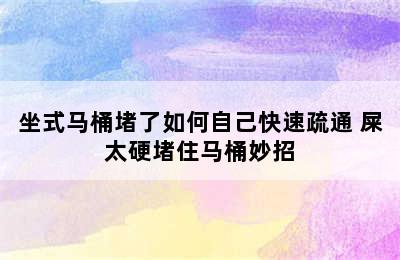 坐式马桶堵了如何自己快速疏通 屎太硬堵住马桶妙招